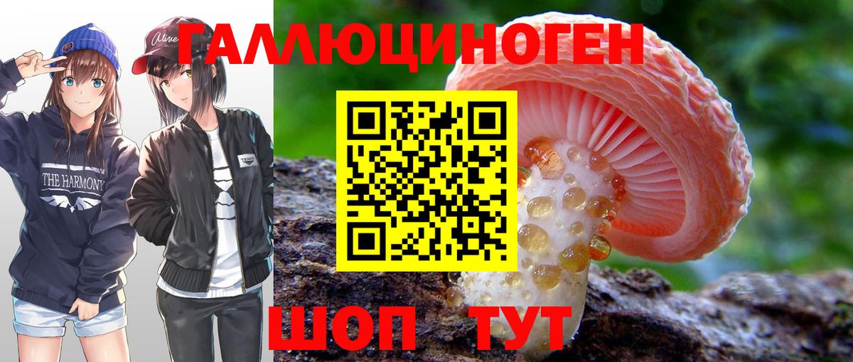 Псилоцибиновые грибы Psilocybine cubensis  Вход с VPN  где можно купить наркотик  Балахна 