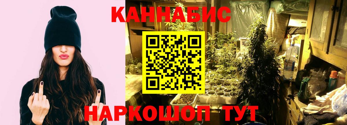 Бошки марихуана конопля Балахна